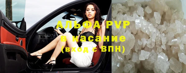 индика Баксан