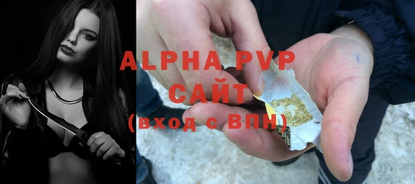 индика Баксан