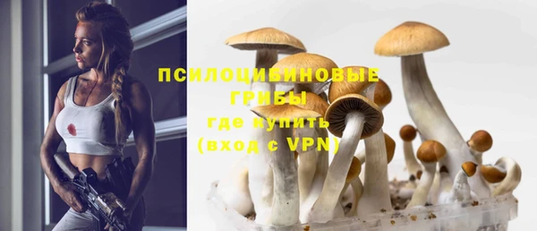 стаф Ростов