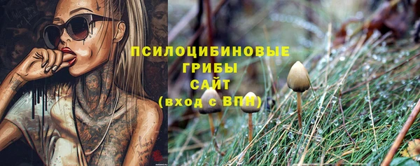 гидропоника Балабаново
