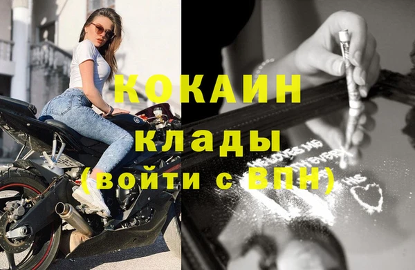 ПСИЛОЦИБИНОВЫЕ ГРИБЫ Рославль