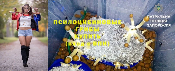 индика Баксан
