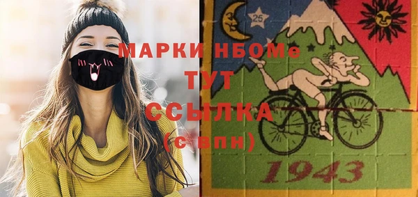 индика Баксан