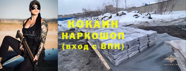 индика Баксан