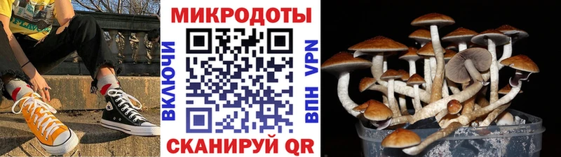 Псилоцибиновые грибы прущие грибы shop официальный сайт Заречный